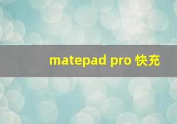 matepad pro 快充